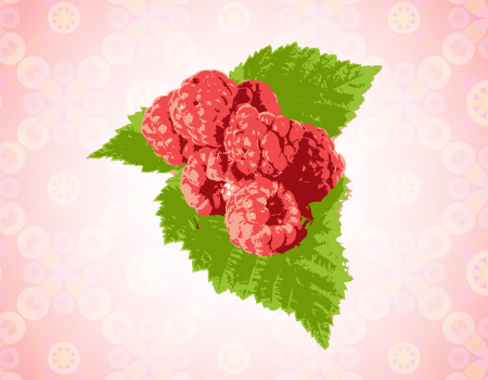 ご存知ですか？美容大国韓国で愛されている「トックリイチゴ」